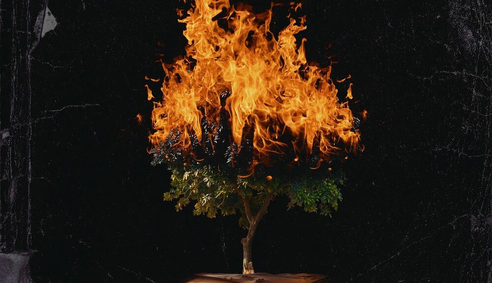 Christian Ponce El Sica Teofanía álbum 2022 Elgenero Official